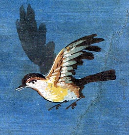 Bird from Roman wall painting, Metropolitan Museum of Art