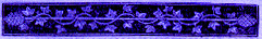 blue border