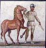 White charioteer