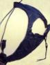 undergarment