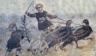 boy charioteer