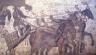charioteer