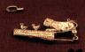 fibula